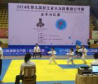 2014省九届大众跆拳道公开赛-金华分区赛完美收官